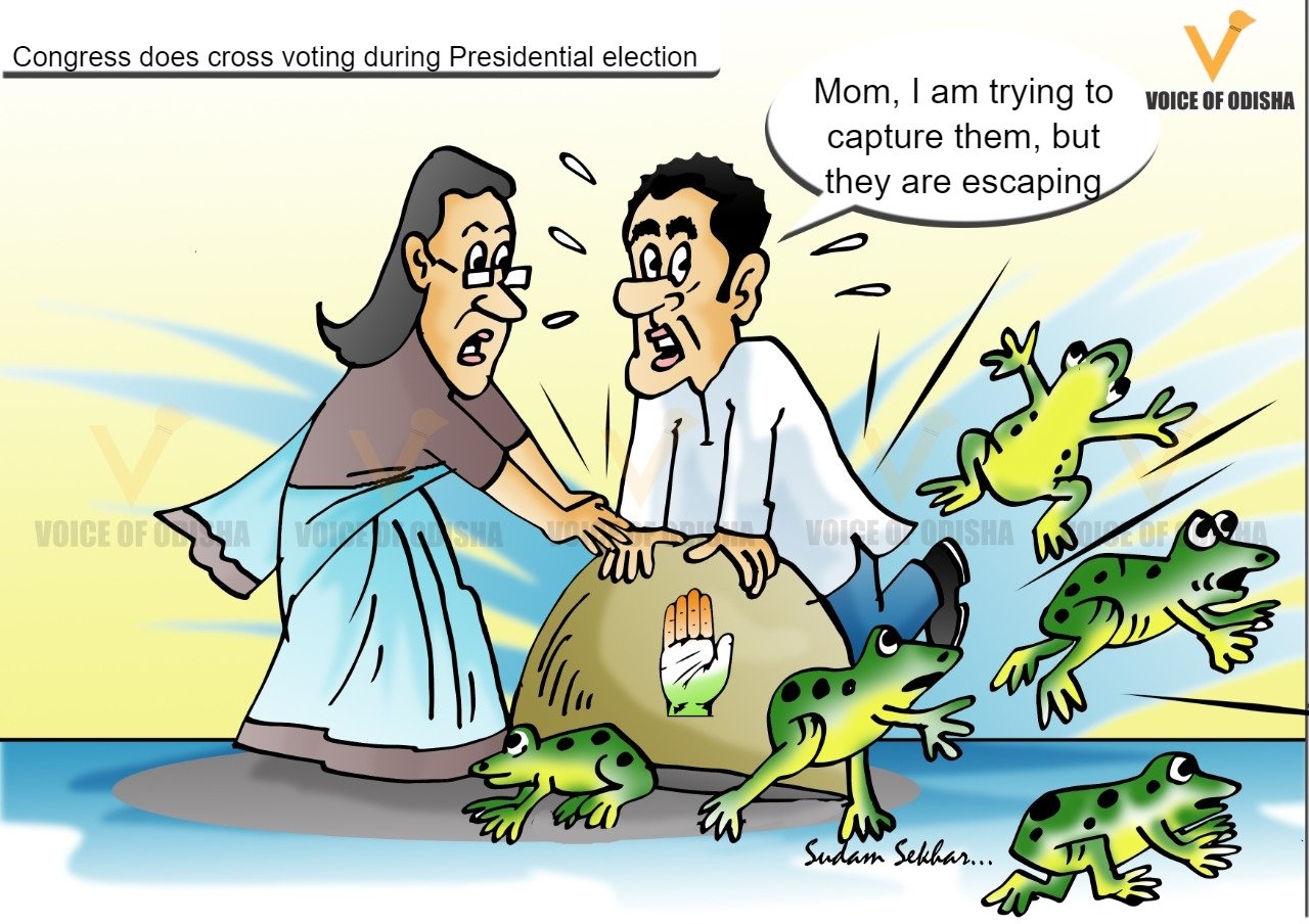 Congress does cross voting during Presidential election