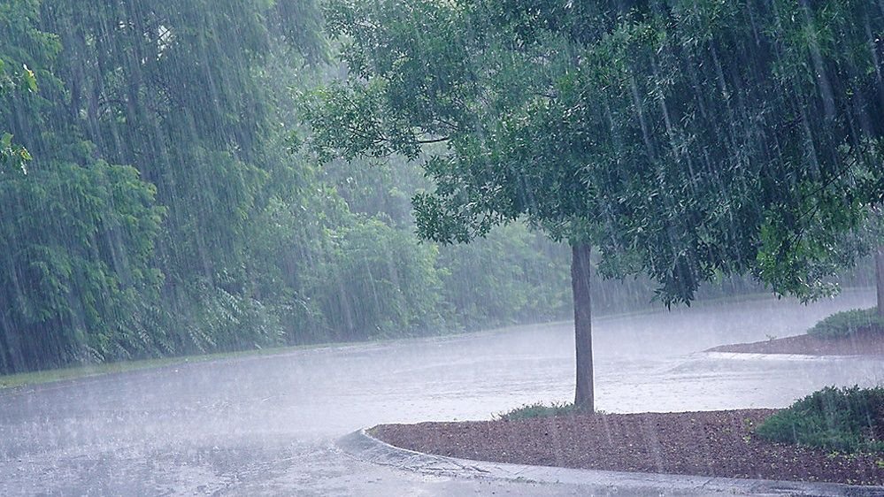 IMD predicts heavy rain over Odisha for next 2 days