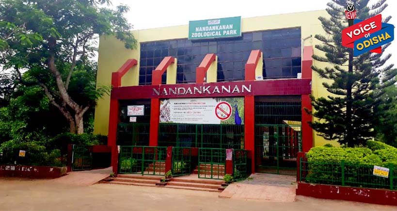 ଅକ୍ଟୋବରରେ ଖୋଲିପାରେ ନନ୍ଦନକାନନ
