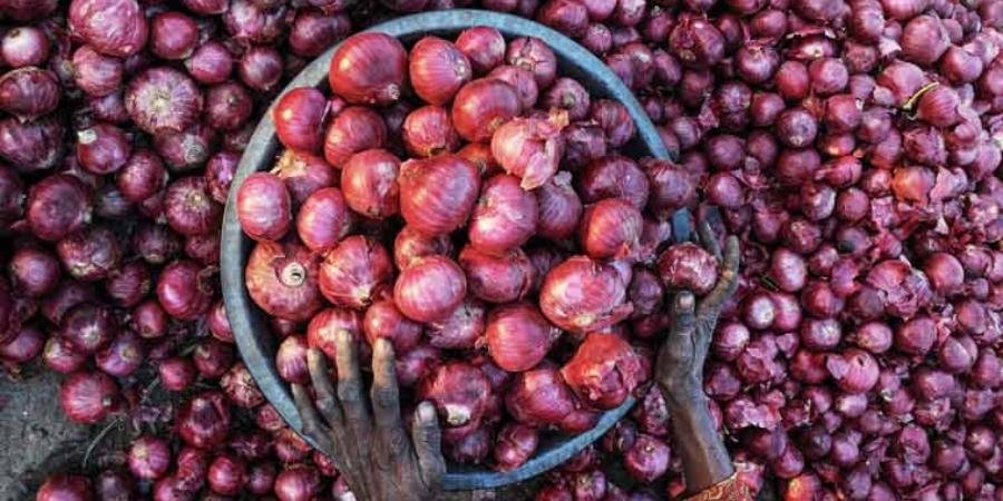 ଇଜିପ୍ଟ ଓ ତୁର୍କୀରୁ ଆସିବ ପିଆଜ