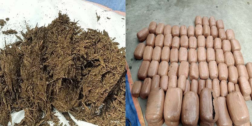 କୋଟିଏରୁ ଅଧିକ ଟଙ୍କାର ଗଞ୍ଜେଇ ଜବତ