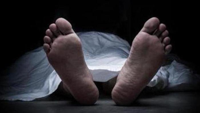 ସାପ କାମୁଡ଼ାରେ ମା, ପୁଅ ମୃତ