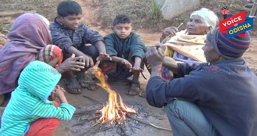 ଶୀତରେ ଥରୁଛନ୍ତି ରାଜ୍ୟବାସୀ