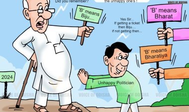 2024 election
