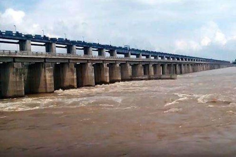 ମହାନଦୀ ଟ୍ରିବ୍ୟୁନାଲ ଟିମ୍‌ର କ୍ଷେତ୍ର ପରିଦର୍ଶନ