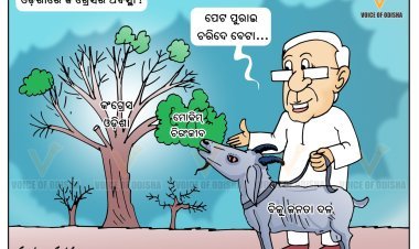 ଓଡ଼ିଶା କଂଗ୍ରେସ ଅବସ୍ଥା
