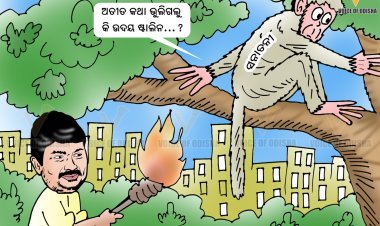 ସନାତନ ଧର୍ମ