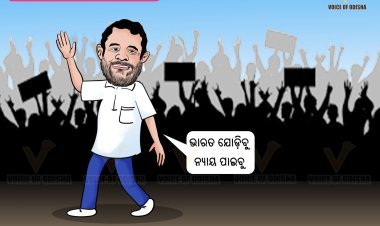 ଓଡ଼ିଶାରେ ରାହୁଲଙ୍କ ଭାରତ ଜୋଡ ନ୍ୟାୟ ଯାତ୍ରା ......