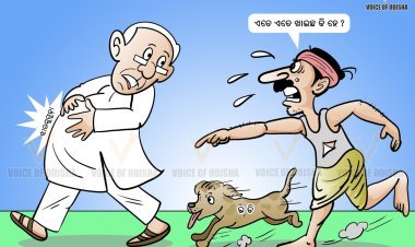 ବେହିସାବ କୋଟି କୋଟି ଟଙ୍କା ଜବତ ! !