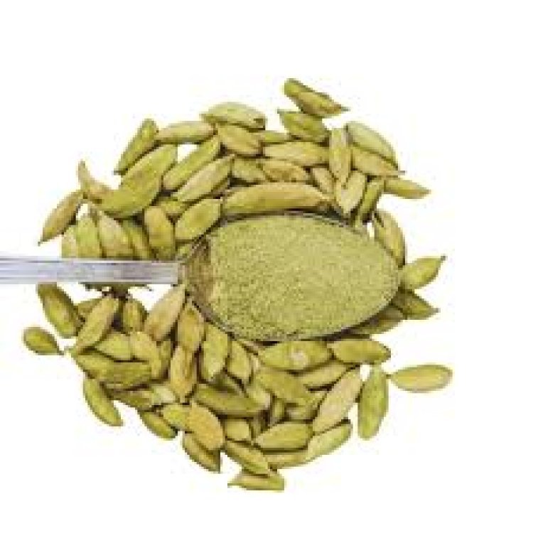 ଗୁଜୁରାତି ଦୂର କରେ ସ୍ବାସ୍ଥ୍ୟ ସମସ୍ୟା