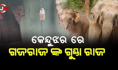 କେନ୍ଦୁଝର ରେ ଗଜରାଜ ଙ୍କ ଗୁଣ୍ଡା ରାଜ