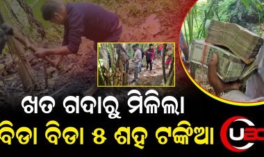 ହାଇଦ୍ରାବାଦରୁ ଚୋରି, ବାଲେଶ୍ୱର ଖତ ଗଦାରେ ଲୁଚା ଯାଇଥିଲା ୨୧ ଲକ୍ଷ