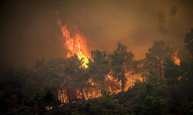 A total of 15,700 kilometers of new fire lines have been created to help control forest fires.