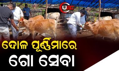 ଏଥର ଦୋଳ ପୂର୍ଣ୍ଣିମା ଟିକେ ନିଆରା